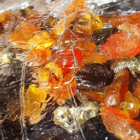 'przy Parku' Goscinne U Zielarki *