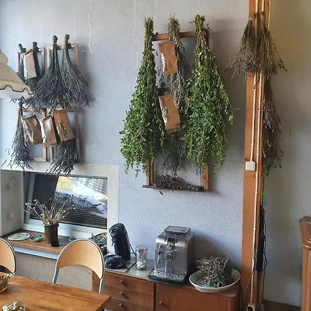 'przy Parku' Goscinne U Zielarki Homestay szállás