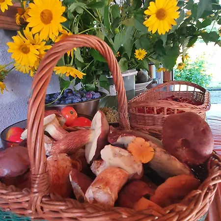Homestay szállás 'przy Parku' Goscinne U Zielarki