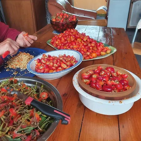 'przy Parku' Goscinne U Zielarki Stegna