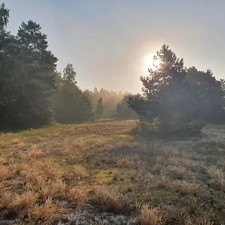 'przy Parku' Goscinne U Zielarki * Stegna
