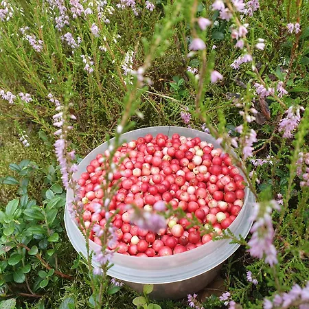 'przy Parku' Goscinne U Zielarki Quarto em Acomodações Particulares *