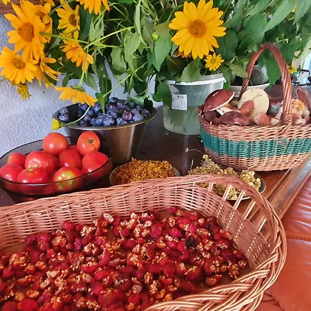 'przy Parku' Goscinne U Zielarki